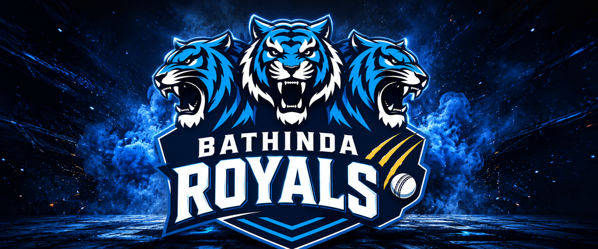 Bathinda Royals