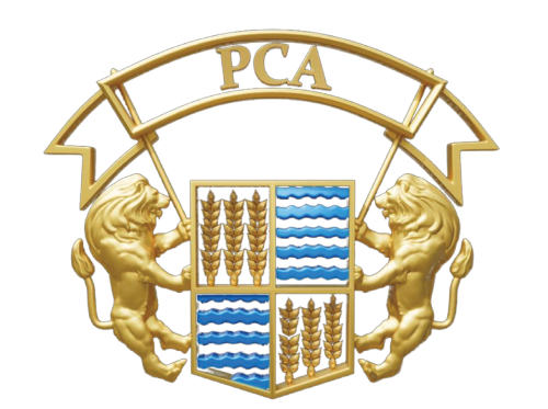 Sher-E-Punjab T20 League