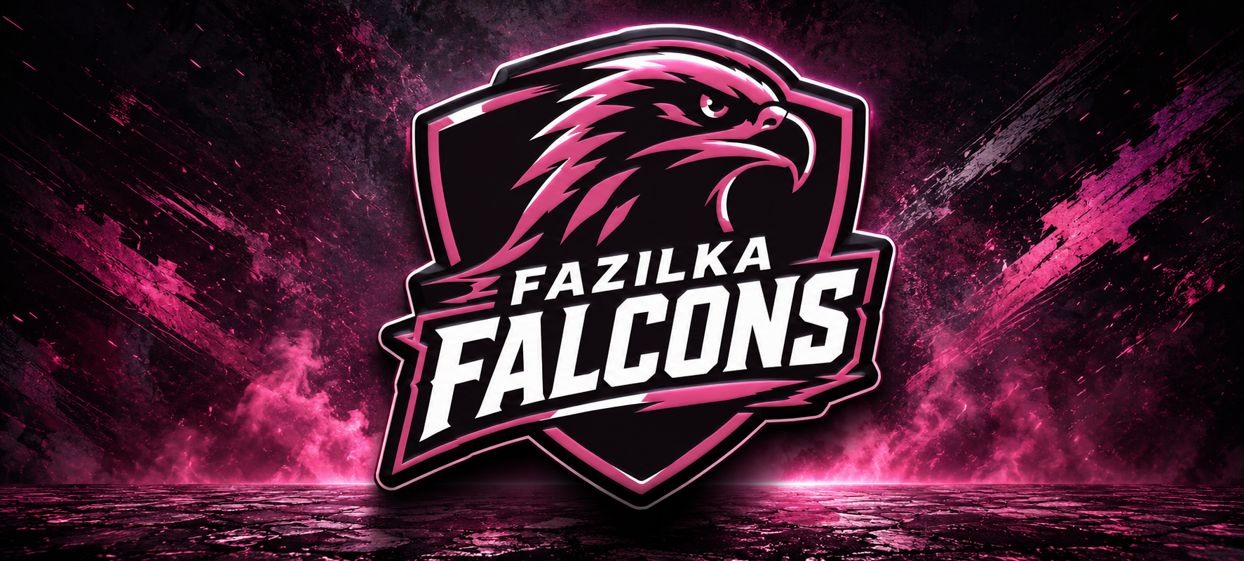 Fazilka Falcons