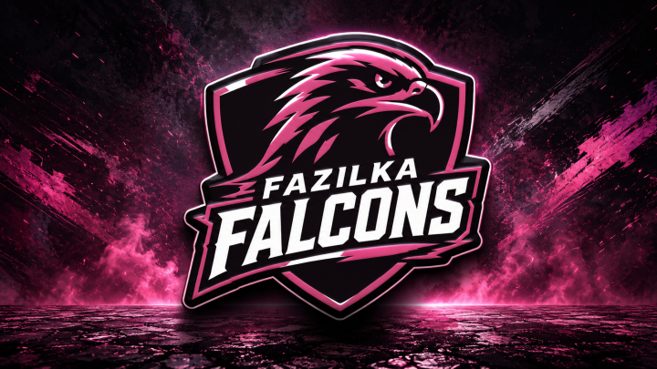 Fazilka Falcons